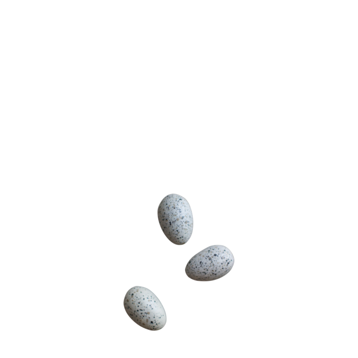 Ägg, Deco Egg mole dot, från dbkd