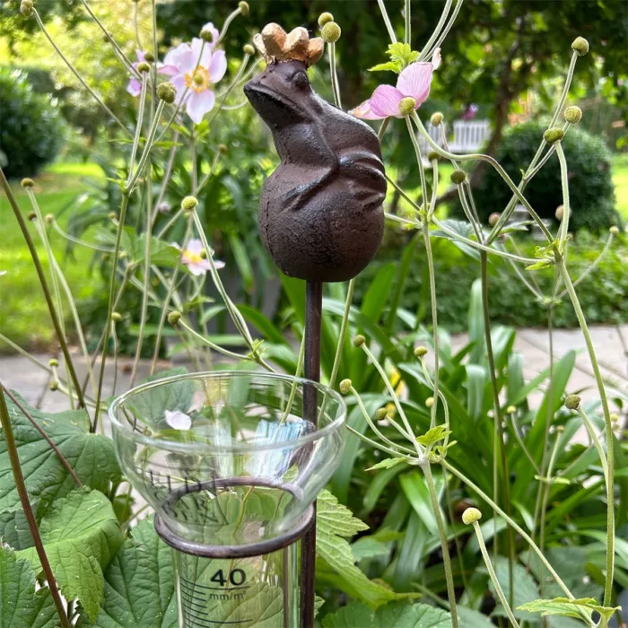 Regnmätare Grodprins, från Eldgarden
